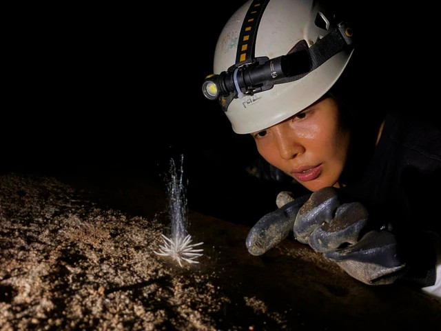 Phát hiện loài 'thủy quái' bí ẩn chưa từng thấy trong hang động Phong Nha - Kẻ Bàng