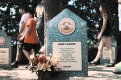 Độc lạ: Thành lập nghĩa địa dành riêng để 'chôn cất' những hương vị kem đã 'chết'